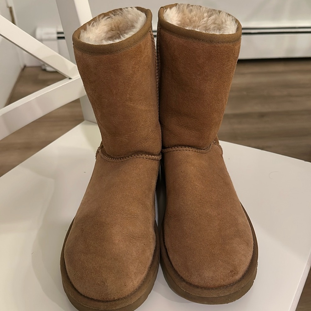 Classic Uggs - image 1